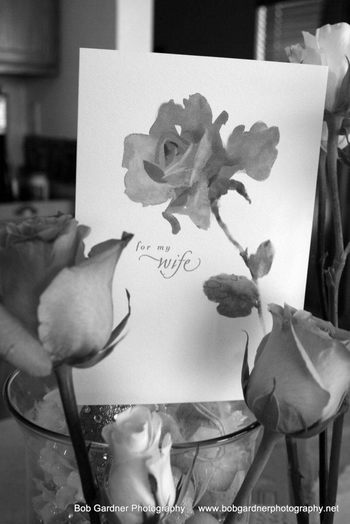 26180845794_97186a50ee_o (1)