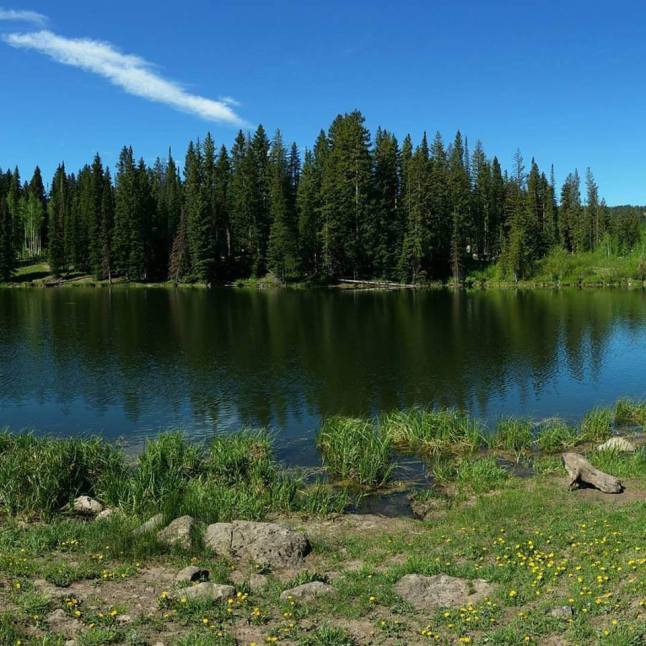 13450902_1010132592389047_3729797343602756378_n